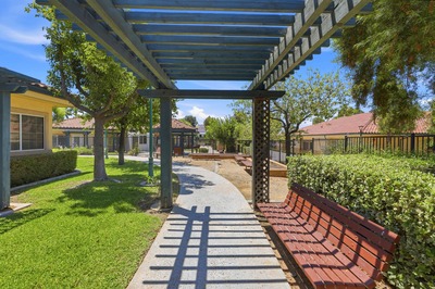 Garden path with pergola and bench